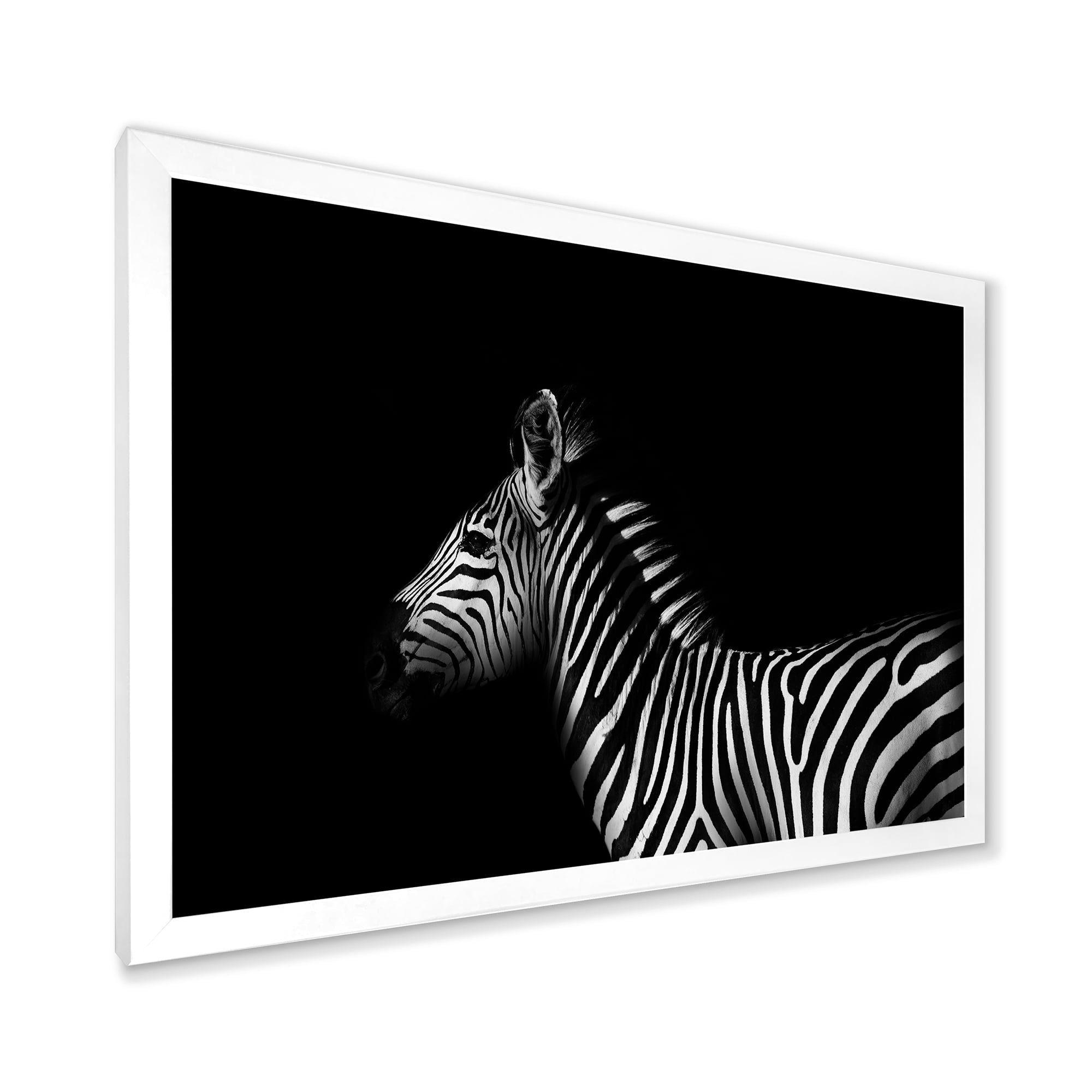 Designart 'Sideview Of Zebra In White and Black' Farmhouse Framed Art Print