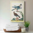 thumbnail image 6 of Pastel Birds III Premium Gallery Wrapped Canvas - Ready to Hang, 6 of 7