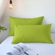 thumbnail image 1 of Juego de Fundas de Almohada Transpirables de Poliéster Verde | Funda de Almohada Corporal Refrescante para Personas Calurosas | Suave Como El Terciopelo, 2 Piezas, Tamaño Matrimonial (48 X 74 Cm) | p, 1 of 6
