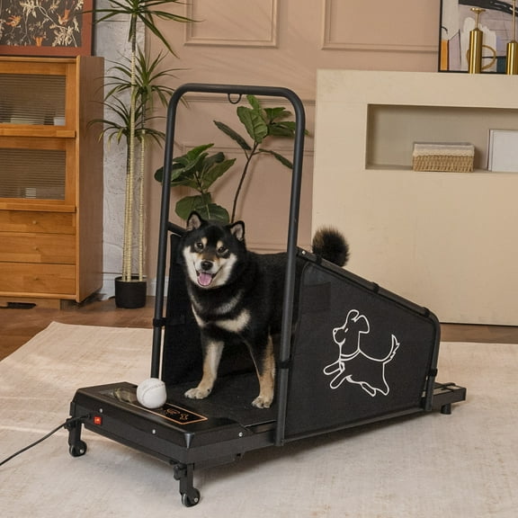 Noble House Treadmill for Medium Dogs, Quiet Dog Pacer Running Machine with Remote, LED Display for Home Use, Black