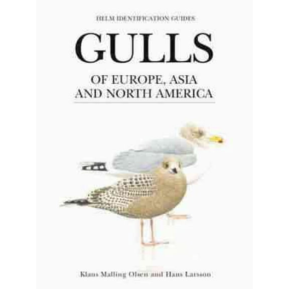 Gulls of Europe, Asia and North America
