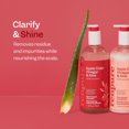 thumbnail image 4 of Renpure Apple Cider Vinegar & Aloe Shampoo, Plant-Based – Clarifies, Removes Residue and Nourishes for Shiny, Healthy Hair  – For Dull Hair - 24 Fl Oz, 4 of 6