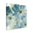 thumbnail image 2 of Trademark Fine Art 'Seashell Cosmos I Blue and Yellow' Canvas Art by Chris Paschke, 2 of 3