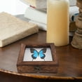thumbnail image 4 of Shisuyan Butterfly Display Case Shadow Box with EVA Padding Coins Tickets Photos Keepsakes Box Rustic Wood Insect Display Box for Butterfly Preservation Accessories, 4 of 9