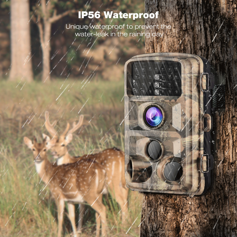 motion hunting camera