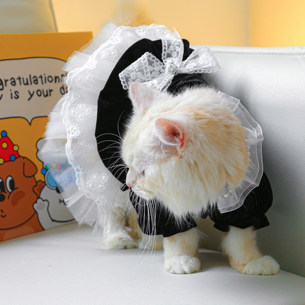 Outfits For Cats Only Dog Clothes Lace Decors Dress Pet Costume Apparel