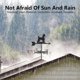 thumbnail image 3 of Weather vane in dog shape black metal wind direction indicator for roof, 3 of 5