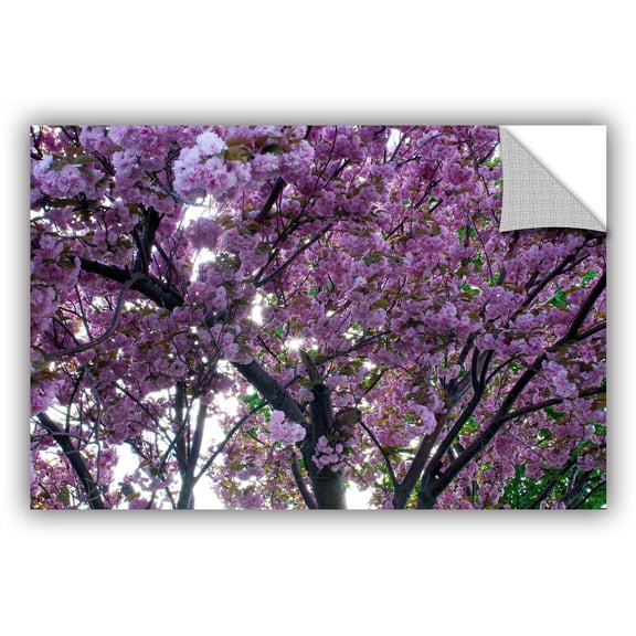 ArtWall Dan Wilson "Spring Flowers" ArtAppealz Removable Wall Art