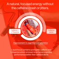 thumbnail image 5 of More Labs Liquid Focus, Nootropic Smart Drink with Powerful Antioxidants & Adaptogenic Herbs for Energy and Concentration, 150mg Caffeine (Pack of 6), 5 of 5