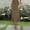 Dresses-564Khaki, variant on Gamivast Womens Midi Skirts High Waisted Elastic Waist Elegant Mermaid Bodycon Skirt Laser Cut Hollow Out Floral Skirt Hem Slim Fit Evening Party Cocktail
