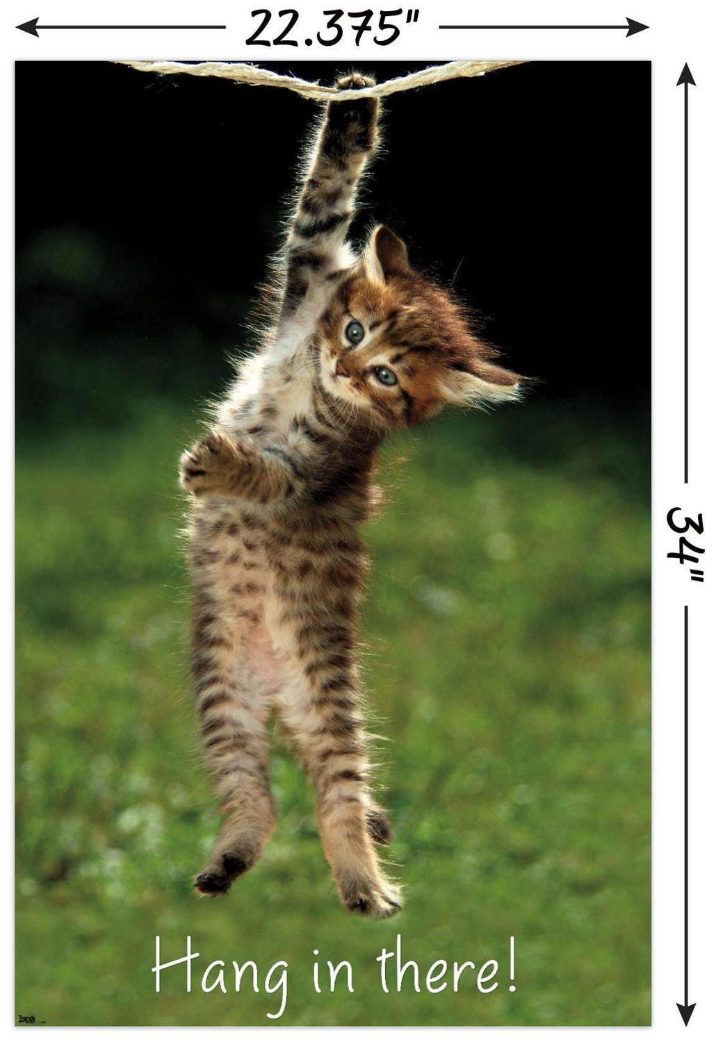 Famous Kitten Hang In There Poster Wall Poster