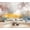 Color 4, variant on Wallpaper Tropical Island Palm Sea Beach Palm Trees Clear Water Sunny Sky Island Peel and Stick Wall Murals 69"H x 96"W Removable PVC Wall Paper Self-Adhesive Wall Decor for Bedroom Living Room