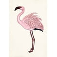 thumbnail image 2 of McCavitt, Naomi 11x14 White Modern Wood Framed Museum Art Print Titled - Striking Flamingo II, 2 of 4