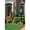 thumbnail image 2 of Rue De Royal 2-Light Aged Copper Outdoor Wall Lantern, 2 of 5