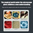 thumbnail image 4 of Tholdsy Microscopio para niños 60-120X Juguetes educativos con para niños Regalo LED portátil Lupa con pilas Experimento de juguete Type2 NO2, 4 of 6