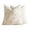 A001- Beige, variant on Halloween Embroidered Pumpkin Throw Pillow Cover 18×18 Inch, Neutral Beige Fall Cushion Cover for Porch Living Room Thanksgiving Home Decor, 1 Pack