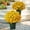 yellow, variant on Artificial Mums Fall Flowers, Artificial Sunset Mums Flowers Outdoor, Resistant Waterproof No Fade Faux Flowers Plants, for Garden Porch Patio Fall Home Decor (Yellow-10 Bundles),yellow,10 Bundles