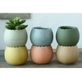 thumbnail image 3 of Coofit 6 Pcs Pot de Succulentes Pot de Fleurs Moderne Simple Pot de Jardinage, 3 of 9