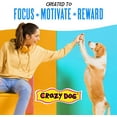 thumbnail image 4 of xianlin-Train-Me! Bacon Mini Training Reward Treats (1 Pouch), 10 Oz, 4 of 4