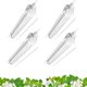 thumbnail image 1 of Luces de cultivo Barrina T8 60W 30 cm Espectro completo Paquete de 4, 1 of 9