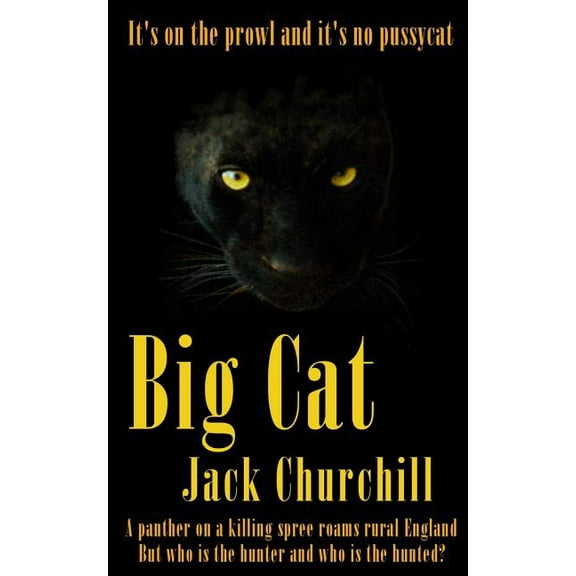 Big Cat (Paperback)