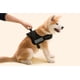 thumbnail image 3 of Arnés ajustable para perros, para exteriores, fácil de controlar, para perros pequeños, medianos y grandes, varios colores y tamaños opcionales., 3 of 8