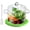2.1 Quarts, variant on 2L Clear Simmer Potpourri Pot with Lid 67OZ Glass Saucepan with Cover Glass Pots Set for Cooking On Stove Handmade Glass Cookware Set Cooktop Safe for Milk,Pasta Noodle, Soup