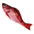 thumbnail image 2 of Electric Moving Fish Pet Toy Realistic Plush Simulation Wagging Fish Pet Kicker Toys Funny Interactive Pets, 2 of 6