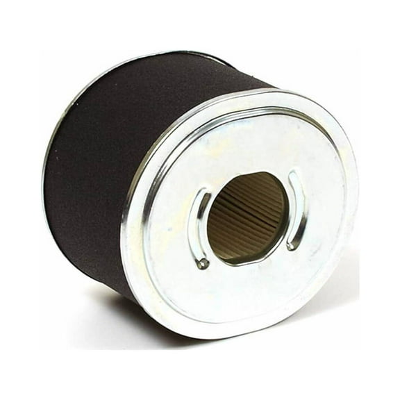 Briggs and Stratton Air Cleaner Filter