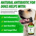thumbnail image 5 of Oimmal Antibiotics for Dogs, Dog Antibiotics + Cough Supplements Set, Bacon Flavor, Natural Ingredients Anti-inflammatory, 5 of 9