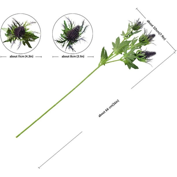 8 cm 2024 real size
