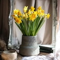 thumbnail image 3 of Artificial Silk Yellow Faux Daffodil Flower Stem 19" Tall, 3 of 7
