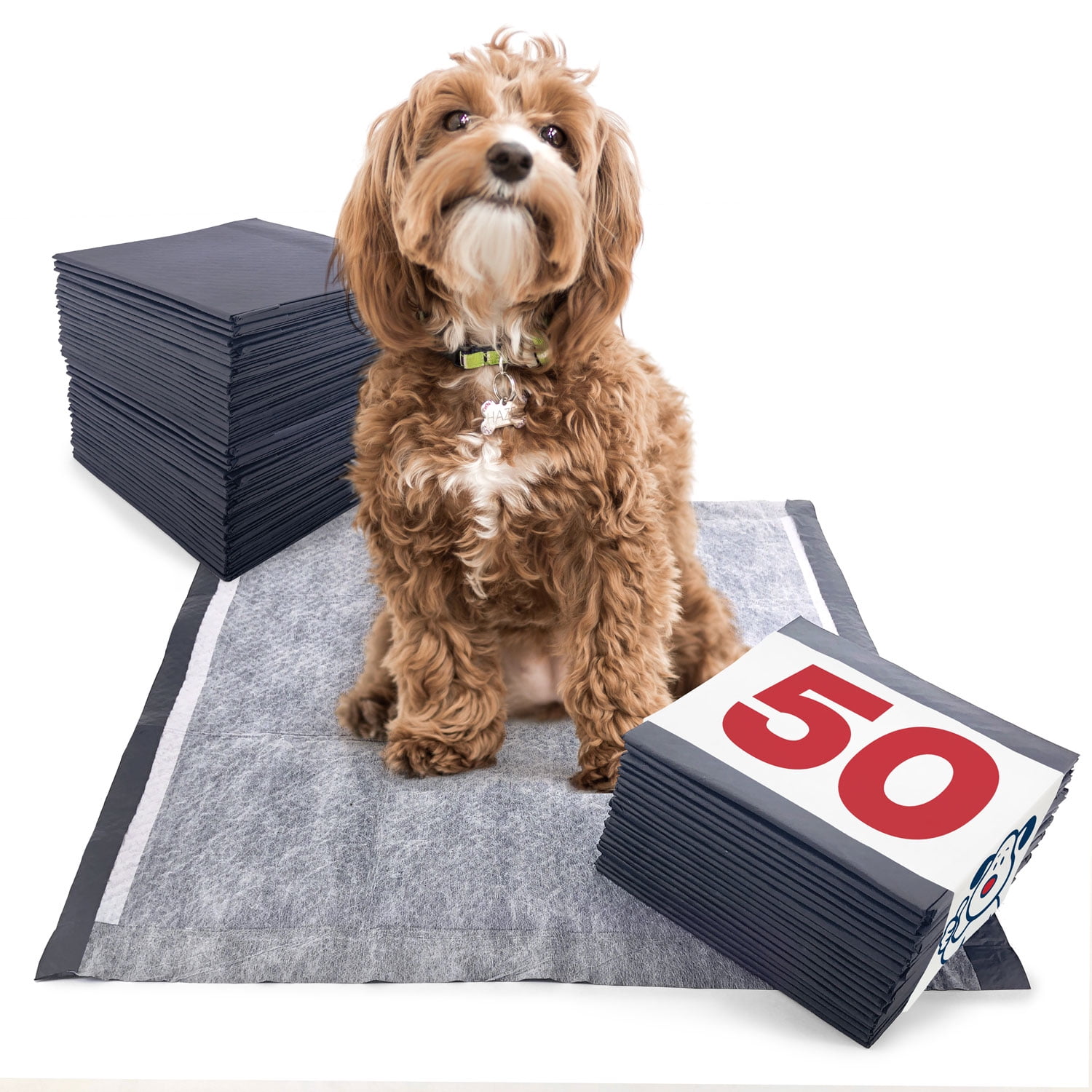 ValuePad Plus Carbon Puppy Pads, Medium 23x24 Inch, Premium Charcoal Pee Pads, 50 Count Odor