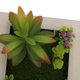 thumbnail image 3 of 3D Placa Arte de Cartel Letrero Colgante de Pared Suculenta Flor Artificial Adorno Hogar # 14 Baoblaze Colgar en la pared, 3 of 6