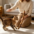 thumbnail image 5 of SIfdSeng Get it Fast Two Telescopic Rods Tail with Long Handle Interactive for Cats, 5 of 5