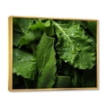 thumbnail image 2 of Designart "Macro View of Green Food" Food & Beverage Floater Framed Canvas Art Print, 2 of 7