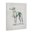 thumbnail image 2 of Stupell Industries French Country Graceful Dog & Ribbon Canvas Art, 16 x 20, by Elizabeth Medley, 2 of 8