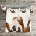 thumbnail image 4 of Ambesonne Boxer Dog Quilted Bedspread Set 3 Pcs, Funny Playful Puppy Image, Queen Size, Pale Caramel Dark Brown, 4 of 4