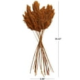 thumbnail image 3 of 35" Grass Dried Plant Natural Foliage Pampas Bouquet with Long Stems, by DecMode, 3 of 8