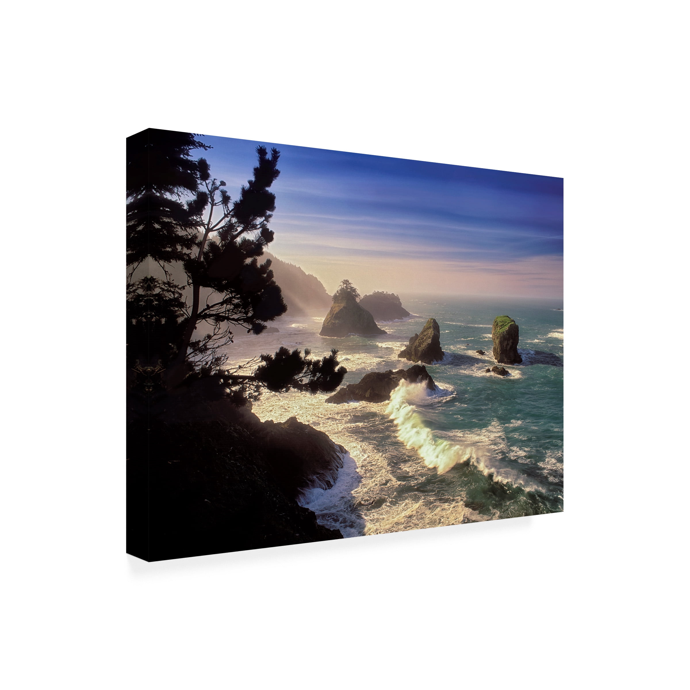 Dennis Frates 'Rocky Coast 2' Canvas Art