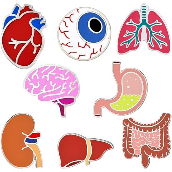 PinMart's All Organs Pin Set (ParentHumanOrgan)