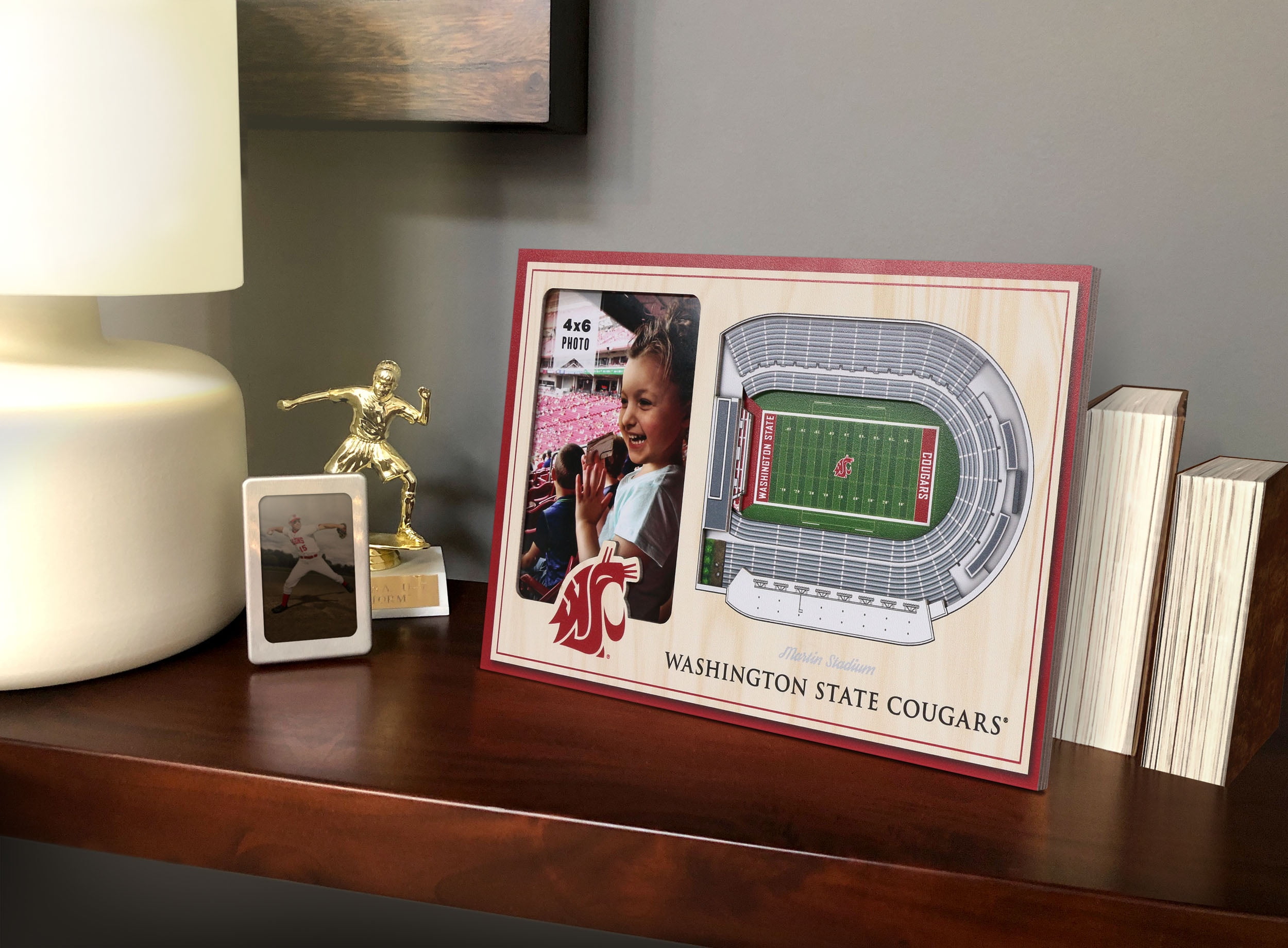 YouTheFan NCAA Washington State Cougars 3D StadiumView Picture Frame