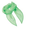thumbnail image 2 of Premier Womens Chiffon Scarf, 2 of 3