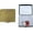 Antique Gold, variant on Set of 2 Metal-Plated Weekly (7-Day) Pill Box Case & Portable Medicine Organizer (Antique Brass Victorian)