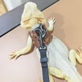 thumbnail image 4 of 1pc Exclusive Leopard - print Harness and Split - type Leash for Lizards and Chameleons, Must - have for Reptile Outings Spring Version Set, 4 of 4
