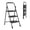Black, variant on JIOABL 5-Step Ladder Stool, 63-inch Plastic Step Stool with Non-Slip Steps and Handrails, Featuring Tool Tray, Suitable for Kitchen, Garage and Outdoor Use — Black
