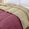 thumbnail image 3 of Modern Threads Reversible Anemone & Wheat All-Season Down Alternative Adult Bed Comforter, King, 3 of 16