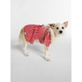 thumbnail image 4 of Kacey Lee Cinched Gingham Bodice Pet Dress for Cats and Dogs, Red, Extra Small, 4 of 7