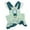 A, variant on Adjustable Dog Walking Harness and Leash Set with Soft Padded Chest Support for Small Medium Large Breed