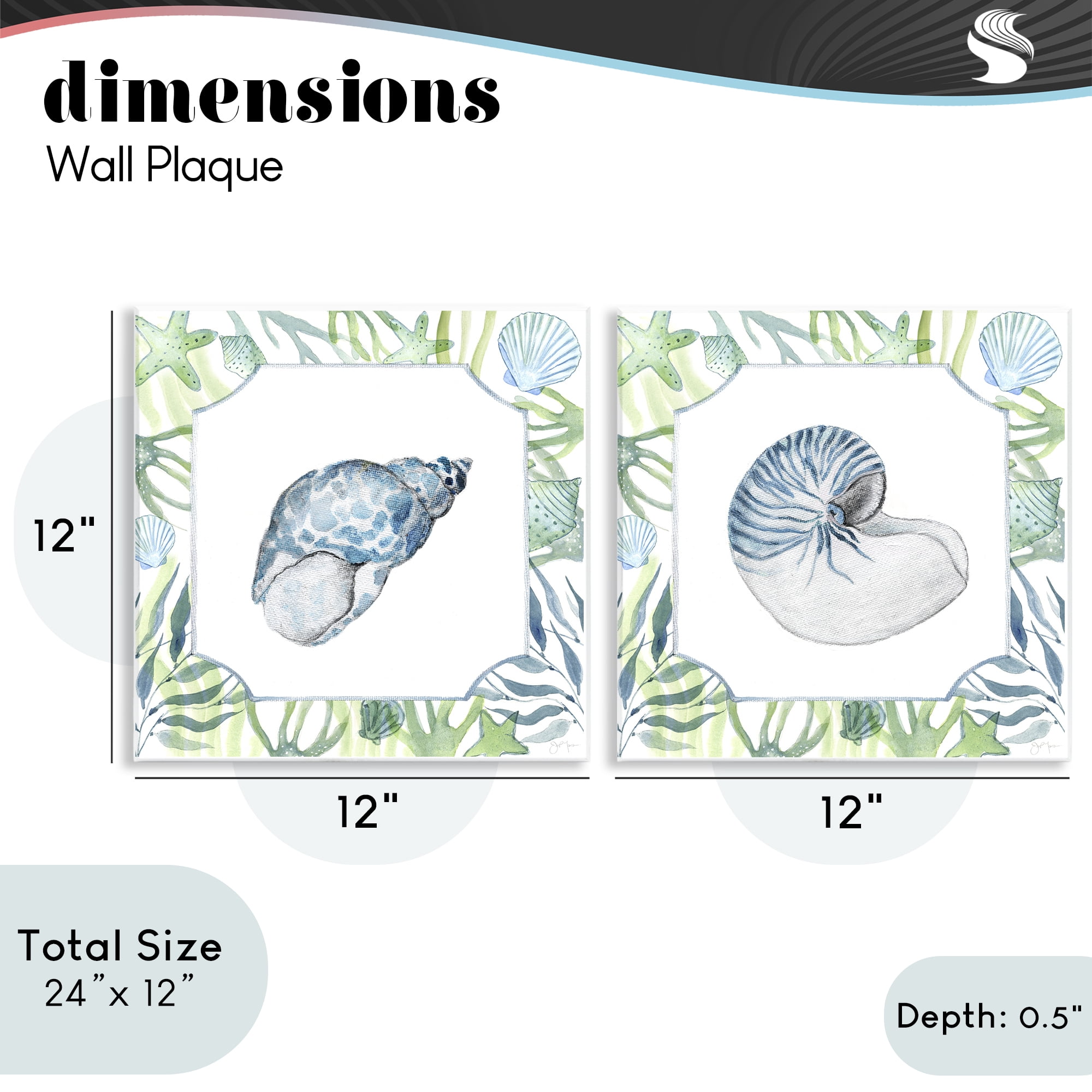 Stupell Industries Seaweed Bordered Seashells 2 Piece Wall Plaque Art Set, design by Janet Tava